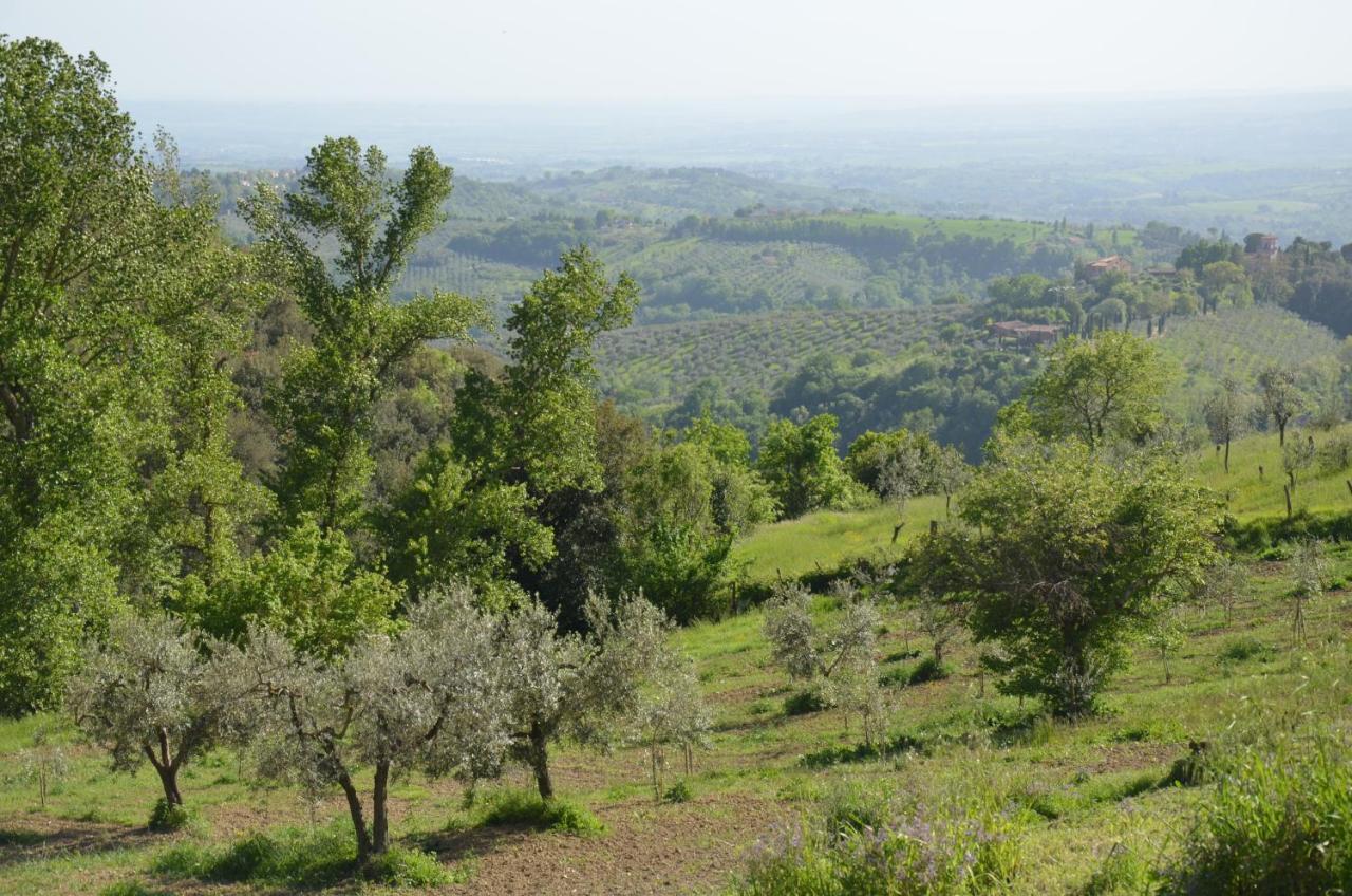 Poggio Mirteto Casa Franceschiniヴィラ エクステリア 写真