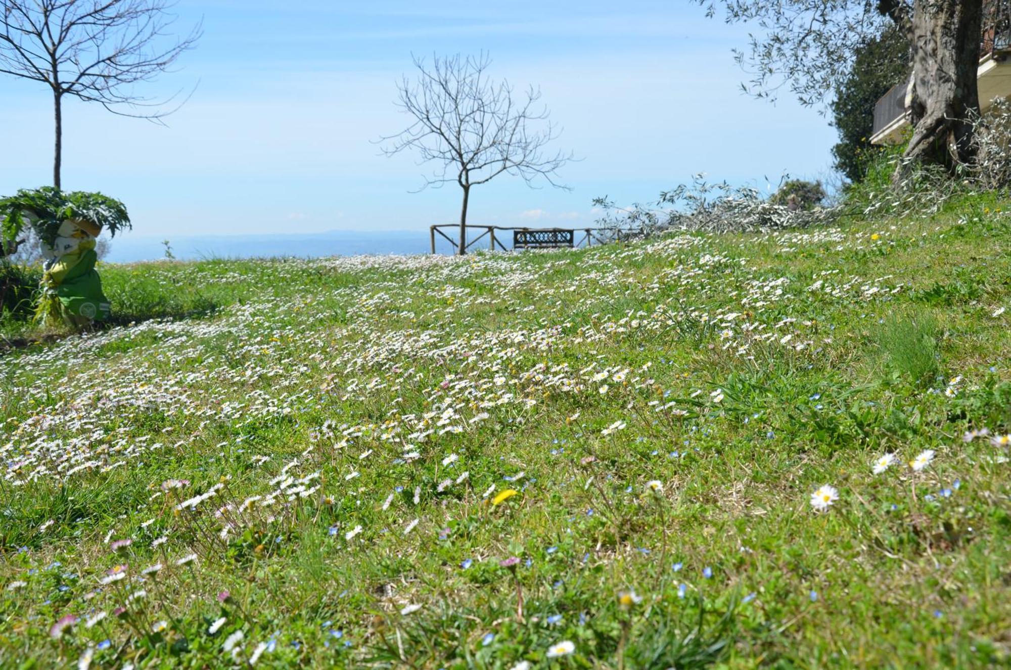 Poggio Mirteto Casa Franceschiniヴィラ エクステリア 写真