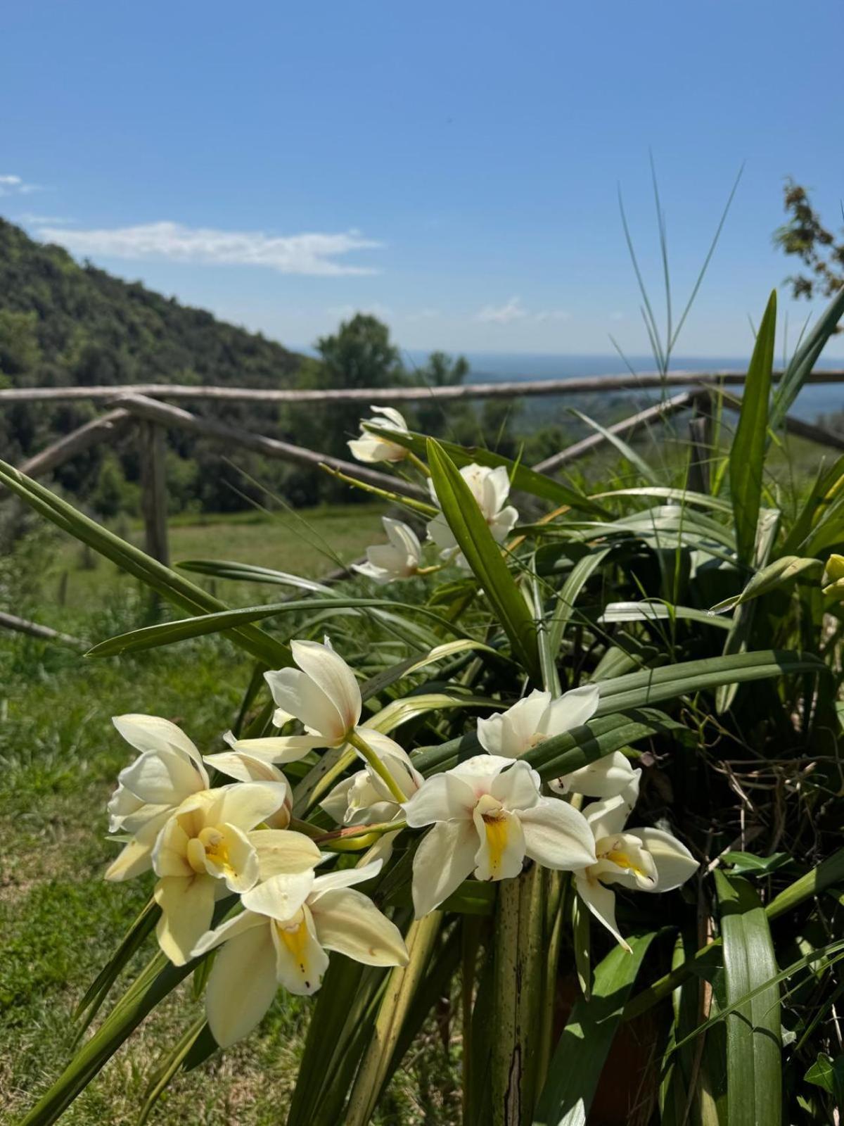 Poggio Mirteto Casa Franceschiniヴィラ エクステリア 写真